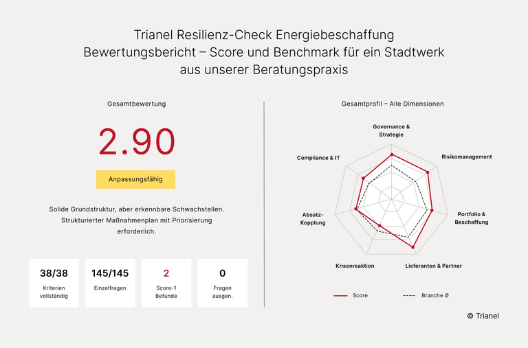 Bewertungsbericht – Score und Benchmark – Trianel-Resilienz-Check-Energiebeschaffung
