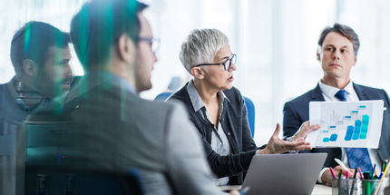 Risiko Komitee – Trianel