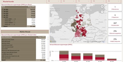 Ansicht aus dem Trianel Kundenreporting 