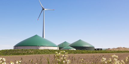 Copyright Adobe Stock/eyewave