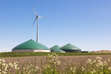 Copyright Adobe Stock/eyewave