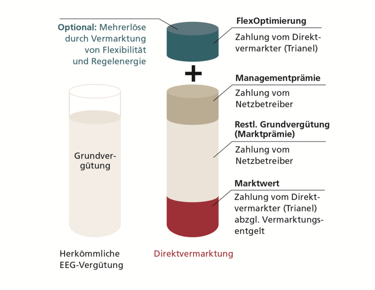 Grafik Biogas Direktvermarktung Trianel GmbH