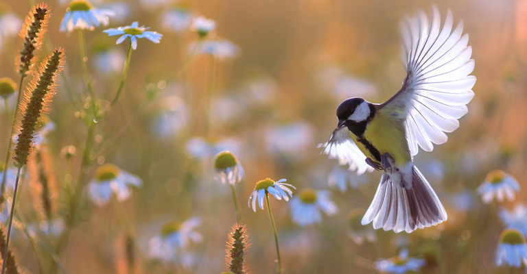 EEG-Förderung und Wasserstoffstrategie beflügeln Flexibilitätsausbau