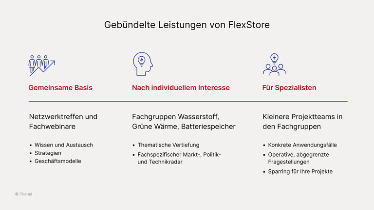 Gebündelte Leistungen im Trianel FlexStore