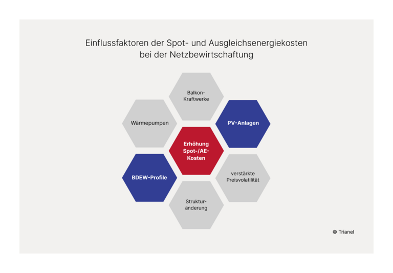 Einflussfaktoren der Spot- und Ausgleichsenergiekosten bei der Netzbewirtschaftung