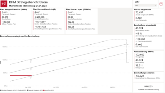 Reporting Portfoliomanagement Strom und Gas – Strategiebericht von Trianel
