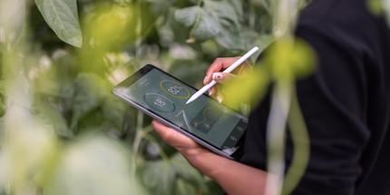 Energieeffizienz – Trianel