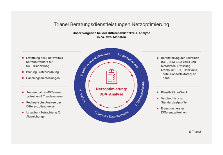 Trianel Beratungsdienstleistungen zur Netzoptimierung