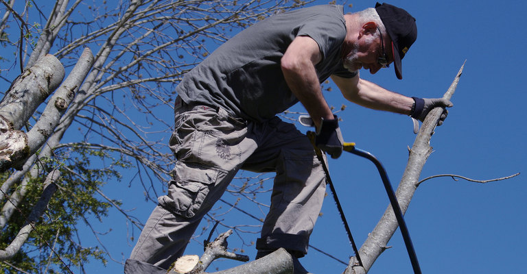 Mit der ISO 31000 Risiken präventiv abwehren