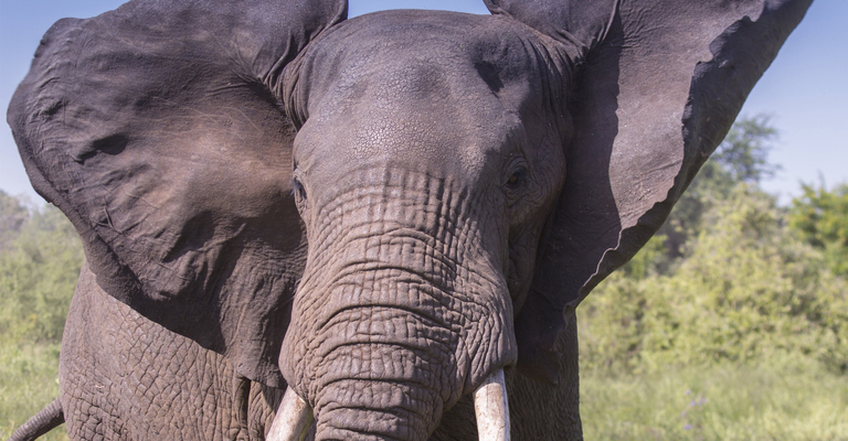 Zwischen den Ohren wird die Zukunft der Energiewirtschaft gestaltet