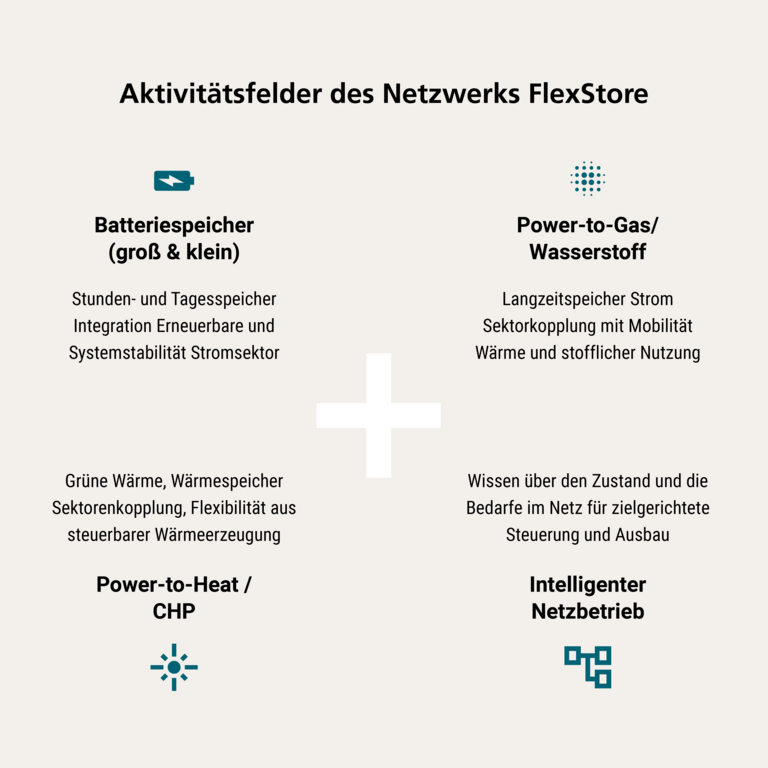 Aktivitätsfelder des Netzwerks FlexStore