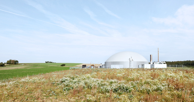 Direktvermarktung aller Erzeugungsarten