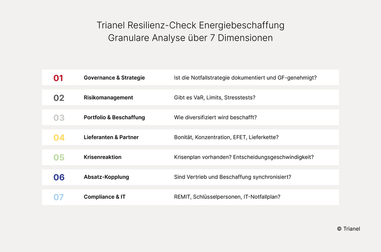 Granulare Analyse über 7 Dimensionen – Trianel-Resilienz-Check-Energiebeschaffung